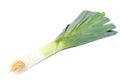 Fresh leek onion isolated on white background Royalty Free Stock Photo