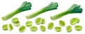 Fresh leek pieces set isolated on white background