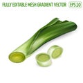 Fresh leek slices illustration on white background.