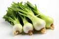 Fresh Leek on white background