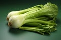 Fresh Leek on white background