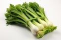 Fresh Leek on white background