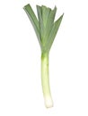 Fresh leeks Royalty Free Stock Photo