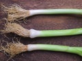 Fresh leeks Royalty Free Stock Photo