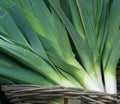 Fresh Leeks on a Market Stall