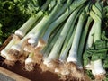 Fresh Leeks