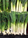 Fresh Leeks and Spring Onions