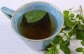 Fresh lemon balm and cup of herbal drink on white wooden table Royalty Free Stock Photo