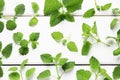 Fresh lemon balm leaves on white wooden table, flat lay Royalty Free Stock Photo