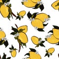 Fresh lemon blossom pattern Royalty Free Stock Photo