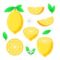 Fresh Lemon Collection Whole, Sliced, and Halved Lemons with Leaves and Flowers. Vector illustration