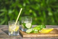 Fresh lemon and cucumber lemonade. drinking straw in glass. chopped fruit slices in water Royalty Free Stock Photo