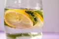 Fresh lemon drink with mint Royalty Free Stock Photo