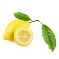 Fresh lemon fruit isolated Royalty Free Stock Photo