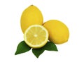 Fresh lemon fruit with leaf