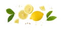 Fresh lemon fruit whole and slices with leaves falling flying isolated on white background Royalty Free Stock Photo