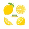 Fresh lemon fruits, collection of vector icon illustrations on white background Royalty Free Stock Photo