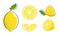 Lemon fruit set Royalty Free Stock Photo