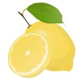 Fresh lemon fruits with leaf. Lemon vector illustration set. Whole, cut in half, sliced on pieces lemons.Lemon logo or icon Royalty Free Stock Photo