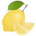 Fresh lemon fruits with leaf. Lemon vector illustration set. Whole, cut in half, sliced on pieces lemons.Lemon logo or icon Royalty Free Stock Photo