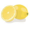Fresh lemon fruits. Lemon vector illustration set. Whole, cut in half, sliced on pieces lemons.Lemon logo or icon Royalty Free Stock Photo