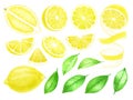 Fresh Lemon fruits whole and sliced. Citrus with leaves isolated on white background. Watercolor hand drawn illustration Royalty Free Stock Photo