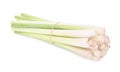 A Bundle of Fresh Lemon Grass Isolated on White Background Royalty Free Stock Photo