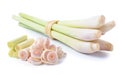 Fresh Lemon Grass on white background Royalty Free Stock Photo