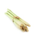 Fresh Lemon grass on a white background