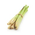 Fresh Lemon grass on a white background