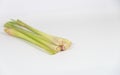 Fresh Lemon grass on white canvas background with copy space Royalty Free Stock Photo