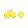 Fresh Lemon icon vector illustration