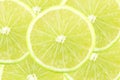 Fresh lemon lime citrus fruit slice Royalty Free Stock Photo