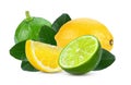 Fresh lemon and lime fruit isolated on white background Royalty Free Stock Photo