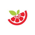 Fresh melon fruit logo creative vector
