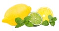 Fresh lemon,mint leaf and lime isolated on white Royalty Free Stock Photo