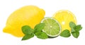 Fresh lemon,mint leaf and lime isolated on white Royalty Free Stock Photo