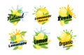 Fresh lemon natural lemonade with water splash sticker badge set isometric vector illustration Royalty Free Stock Photo