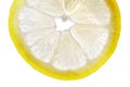 Fresh Lemon Slice