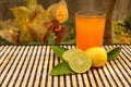 Fresh lemon slice with green leaves Royalty Free Stock Photo