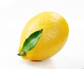 Fresh lemon with slice and leaf isolated white background Royalty Free Stock Photo