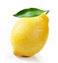 Fresh lemon with slice and leaf isolated white background Royalty Free Stock Photo