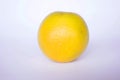 fresh lemon slice, orange slice, , citrus sinensis, green lemon, yellow lemon in white background