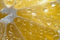 Fresh lemon slice in water with bubbles Royalty Free Stock Photo