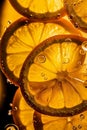 Fresh lemon slice in water with bubbles Royalty Free Stock Photo