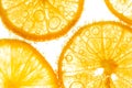 Fresh lemon slice in water with bubbles Royalty Free Stock Photo