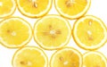 Fresh Lemon Slices Pattern