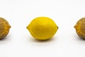 Fresh lemon with two part of spoiled and dry lemons isolated on white background. Dried and fresh lemons against background. Royalty Free Stock Photo