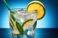 Fresh lemon water, infused drink with fruits and mint Royalty Free Stock Photo