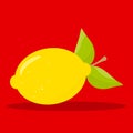 Fresh Lemonade Lemon Leaf 22